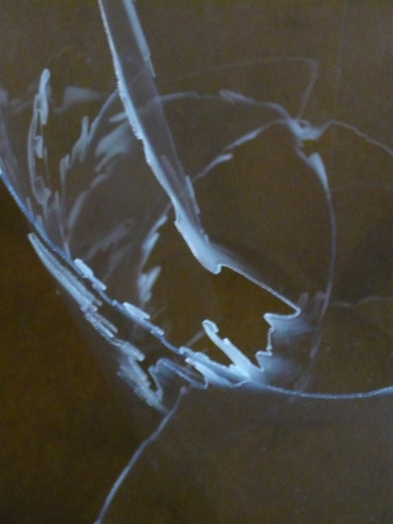 04 - texte Photofolies, Chédigny.P1020511